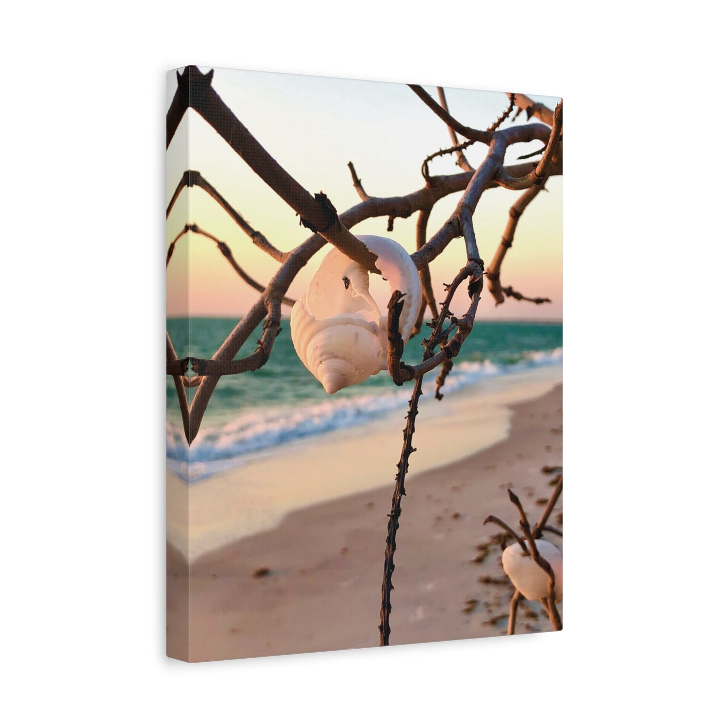 North Captiva Island, Shell’s Embrace Matte Canvas, Stretched, 1.25". Available in sizes from 8” x 10”-12” x 18”