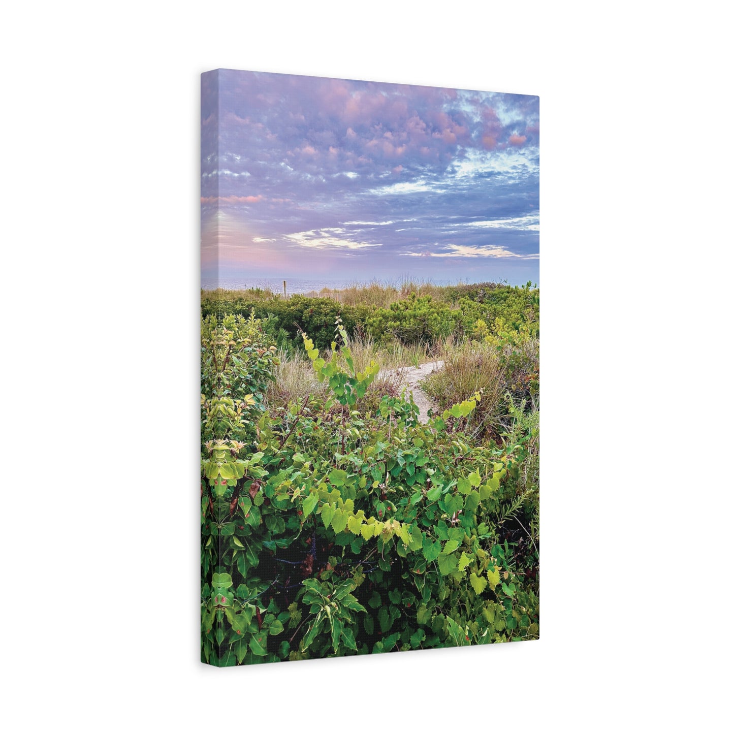 Your Path Awaits Matte Canvas, Stretched, 1.25". Available in sizes from 8” x 10”-12” x 18”