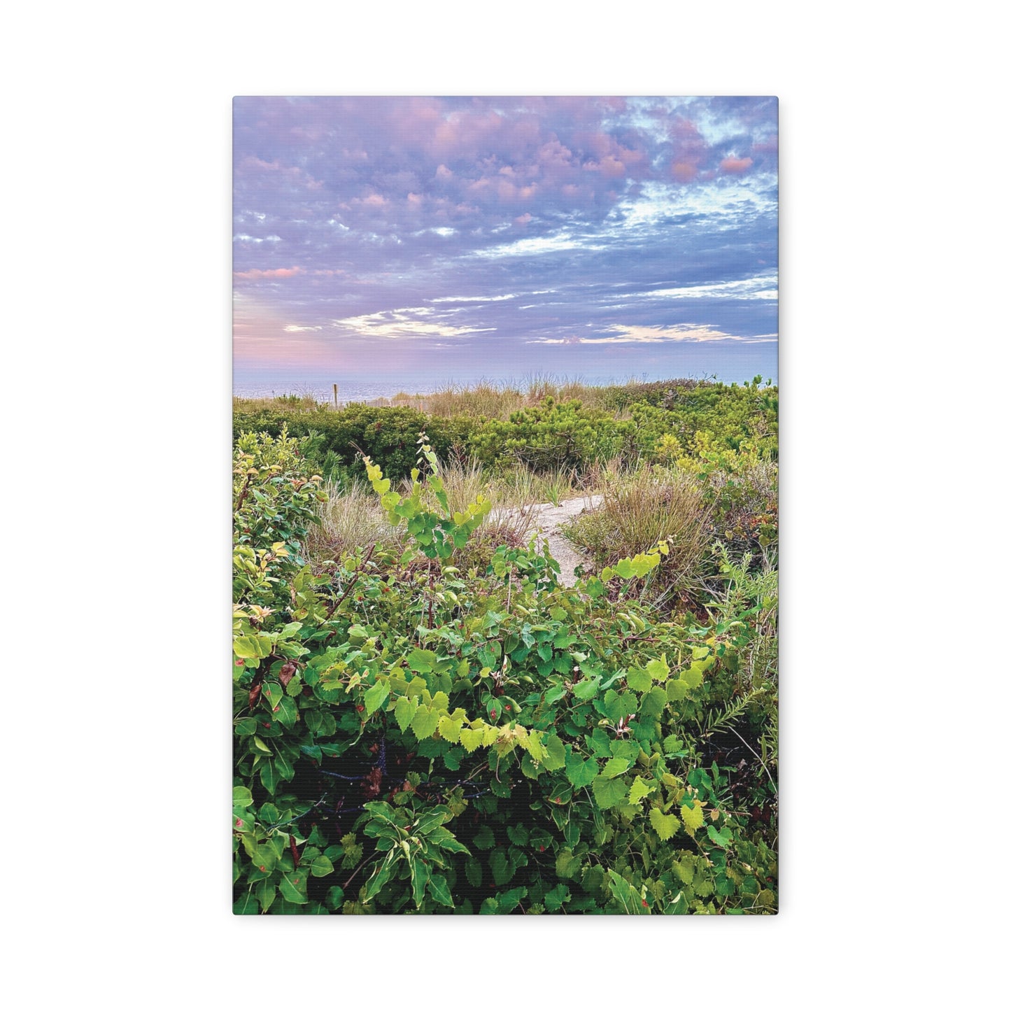 Your Path Awaits Matte Canvas, Stretched, 1.25". Available in sizes from 8” x 10”-12” x 18”