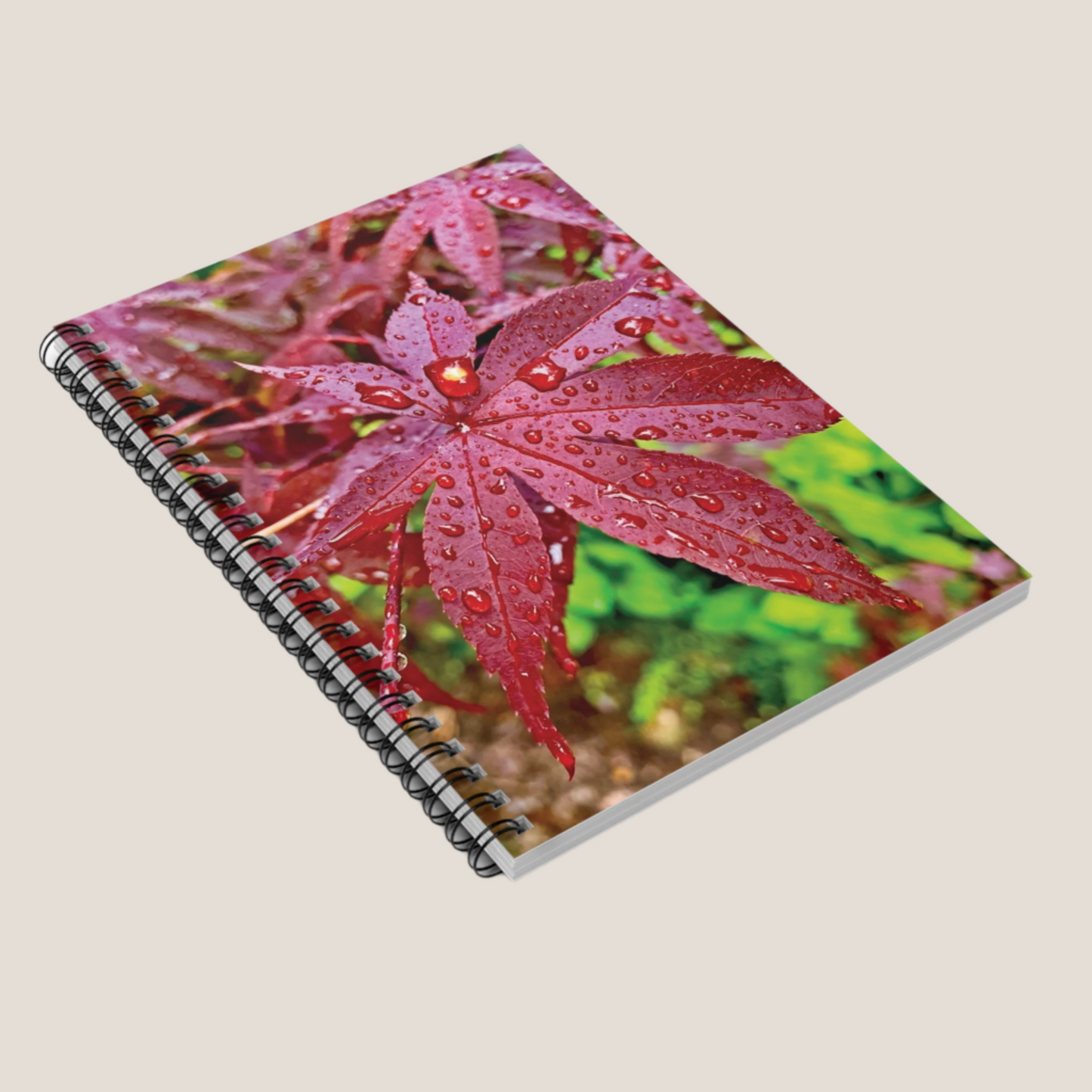 Koyo Rain Spiral Notebook - Ruled Line