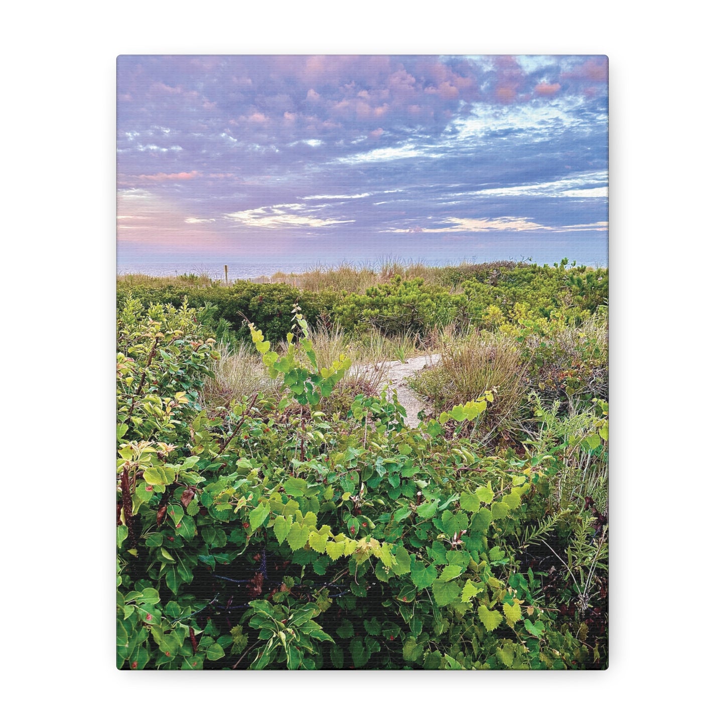 Your Path Awaits Matte Canvas, Stretched, 1.25". Available in sizes from 8” x 10”-12” x 18”