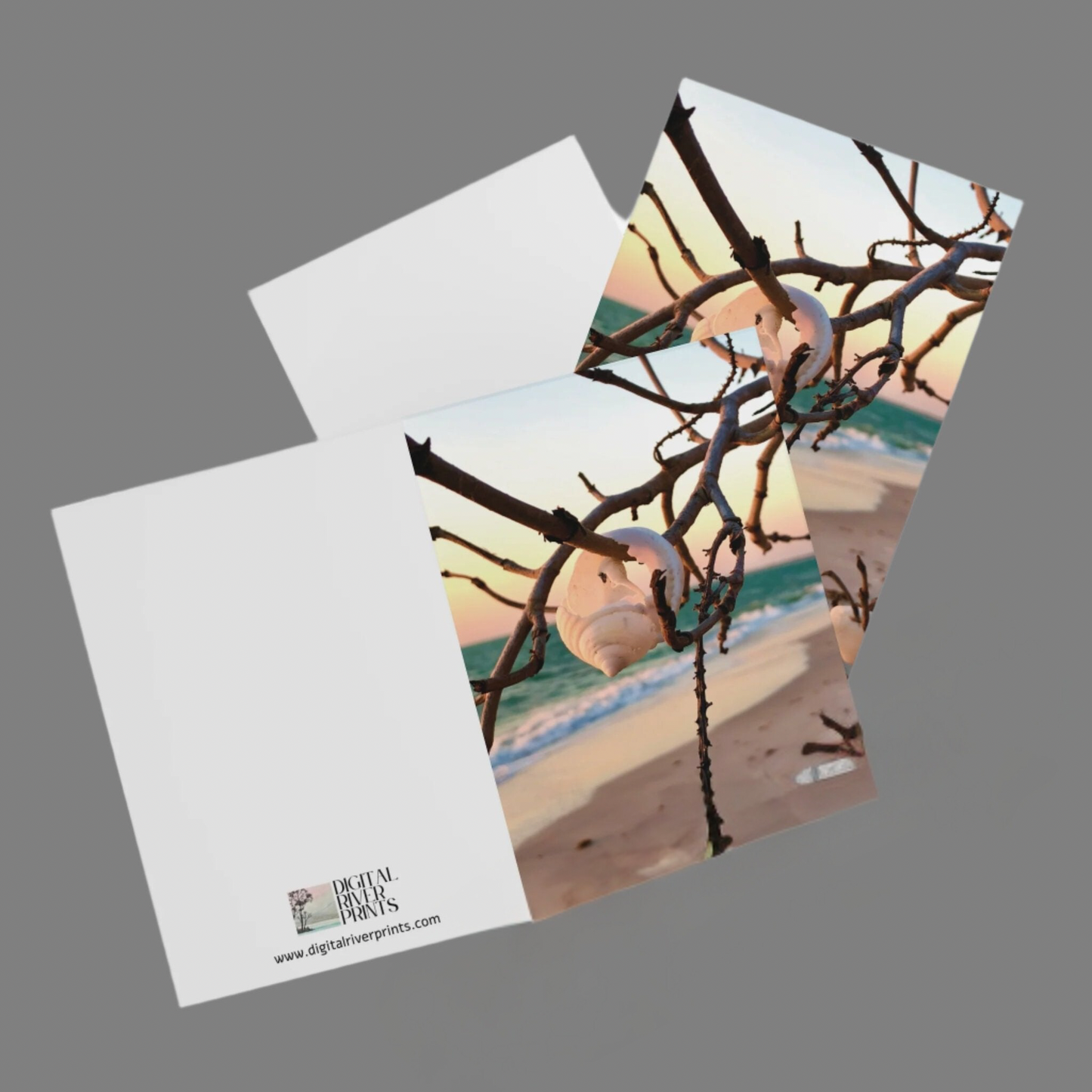 North Captiva Island, Shell’s Embrace Greeting Cards (5 Pack)