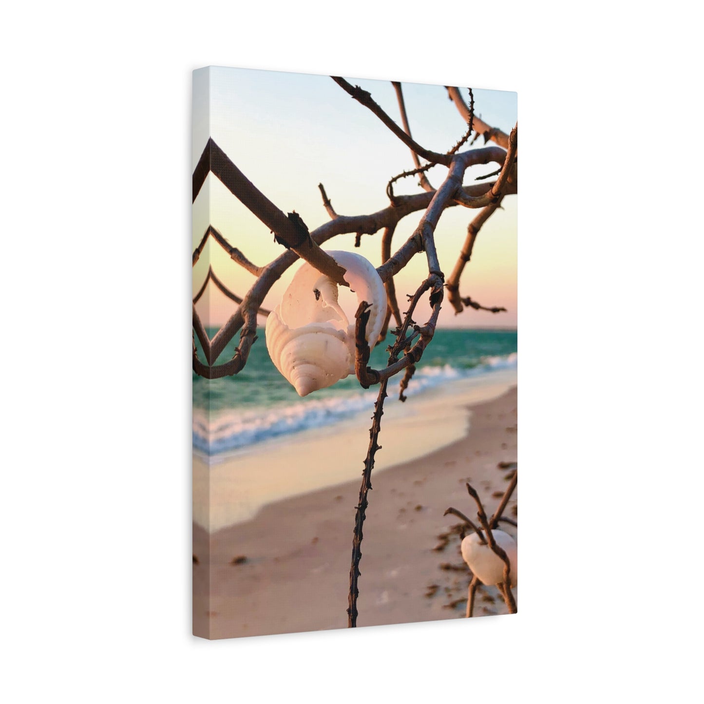 North Captiva Island, Shell’s Embrace Matte Canvas, Stretched, 1.25". Available in sizes from 8” x 10”-12” x 18”