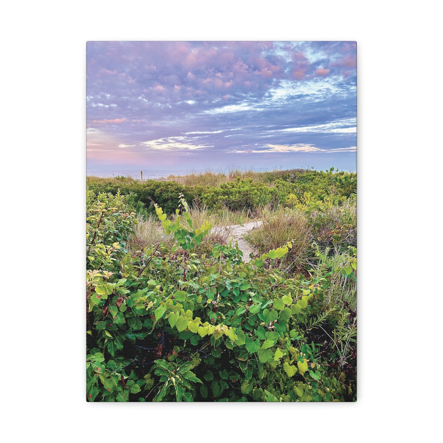 Your Path Awaits Matte Canvas, Stretched, 1.25". Available in sizes from 8” x 10”-12” x 18”