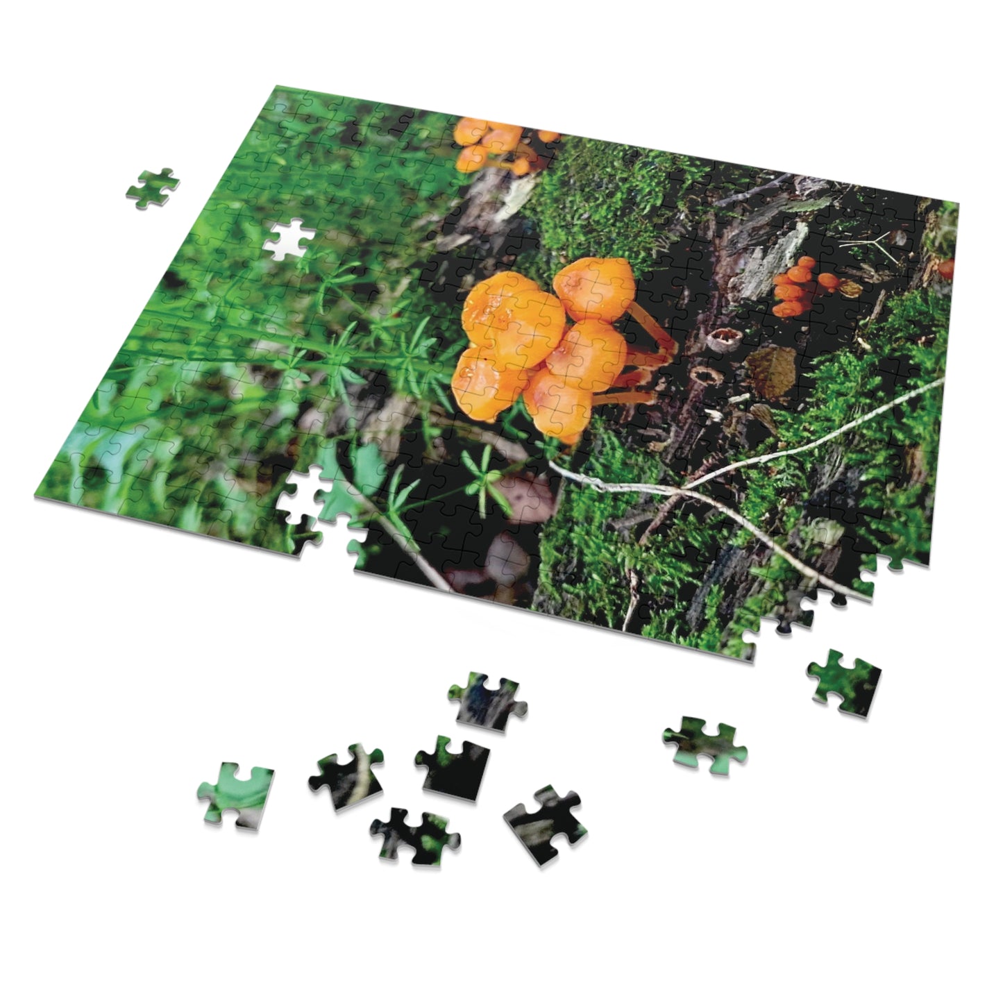 Vibrant Treasure Forest Mushrooms Jigsaw Puzzle (110 and 252-Piece)