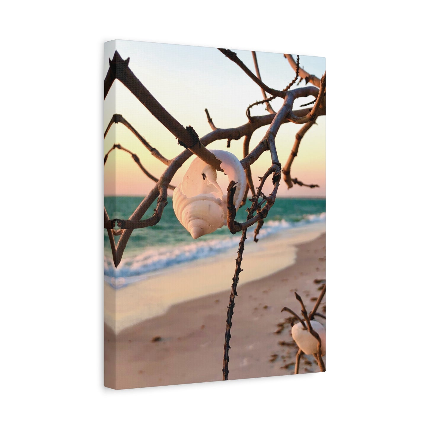 North Captiva Island, Shell’s Embrace Matte Canvas, Stretched, 1.25". Available in sizes from 8” x 10”-12” x 18”