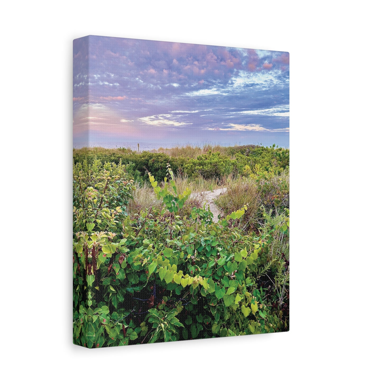 Your Path Awaits Matte Canvas, Stretched, 1.25". Available in sizes from 8” x 10”-12” x 18”