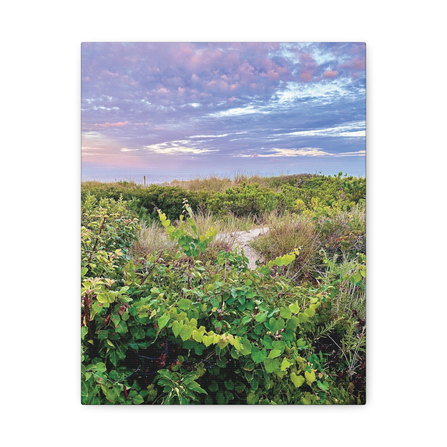 Your Path Awaits Matte Canvas, Stretched, 1.25". Available in sizes from 8” x 10”-12” x 18”