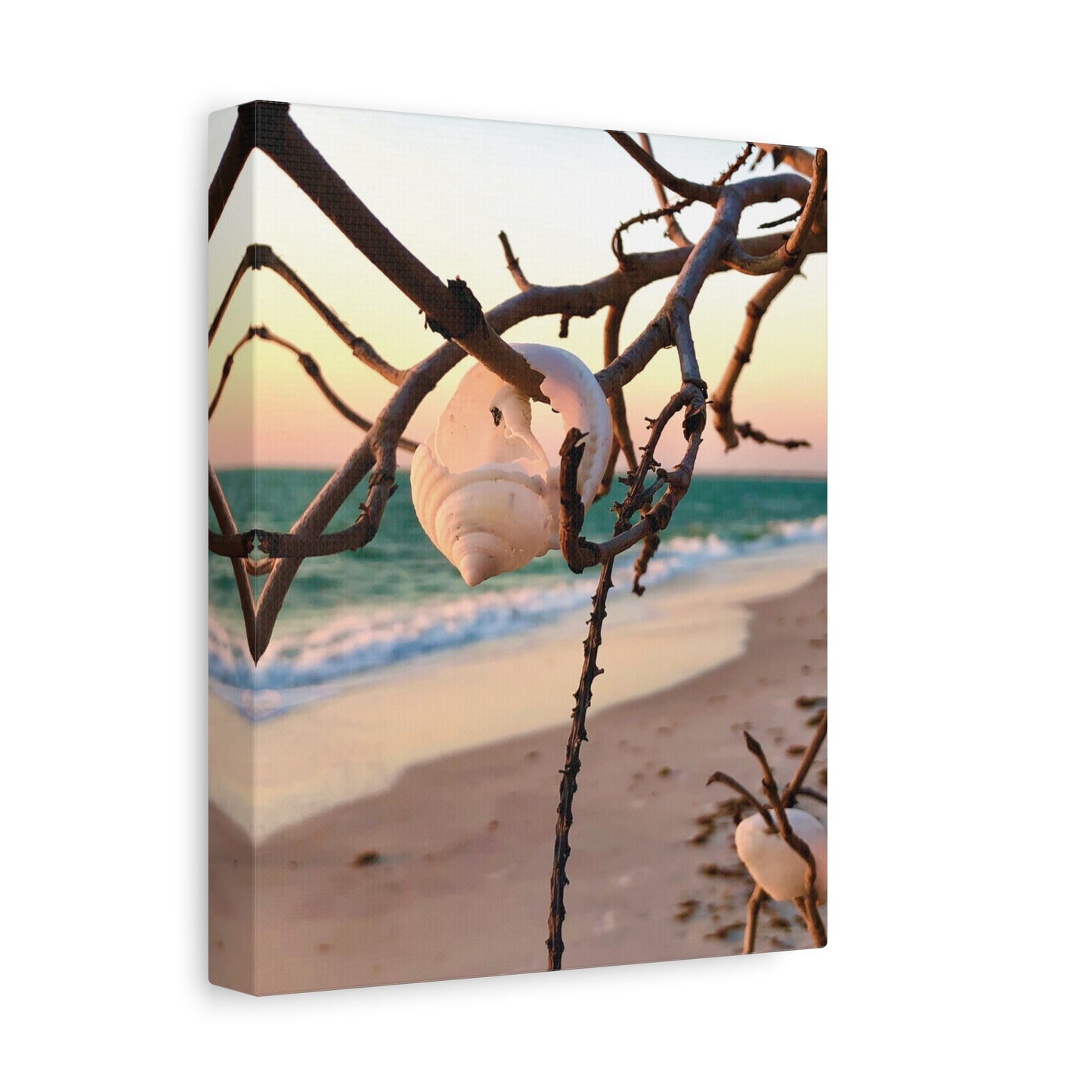 North Captiva Island, Shell’s Embrace Matte Canvas, Stretched, 1.25". Available in sizes from 8” x 10”-12” x 18”