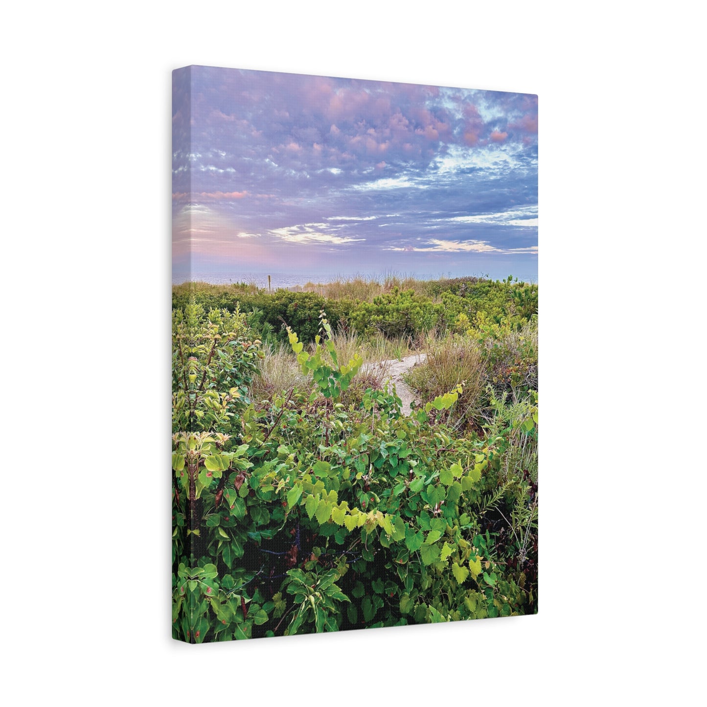 Your Path Awaits Matte Canvas, Stretched, 1.25". Available in sizes from 8” x 10”-12” x 18”