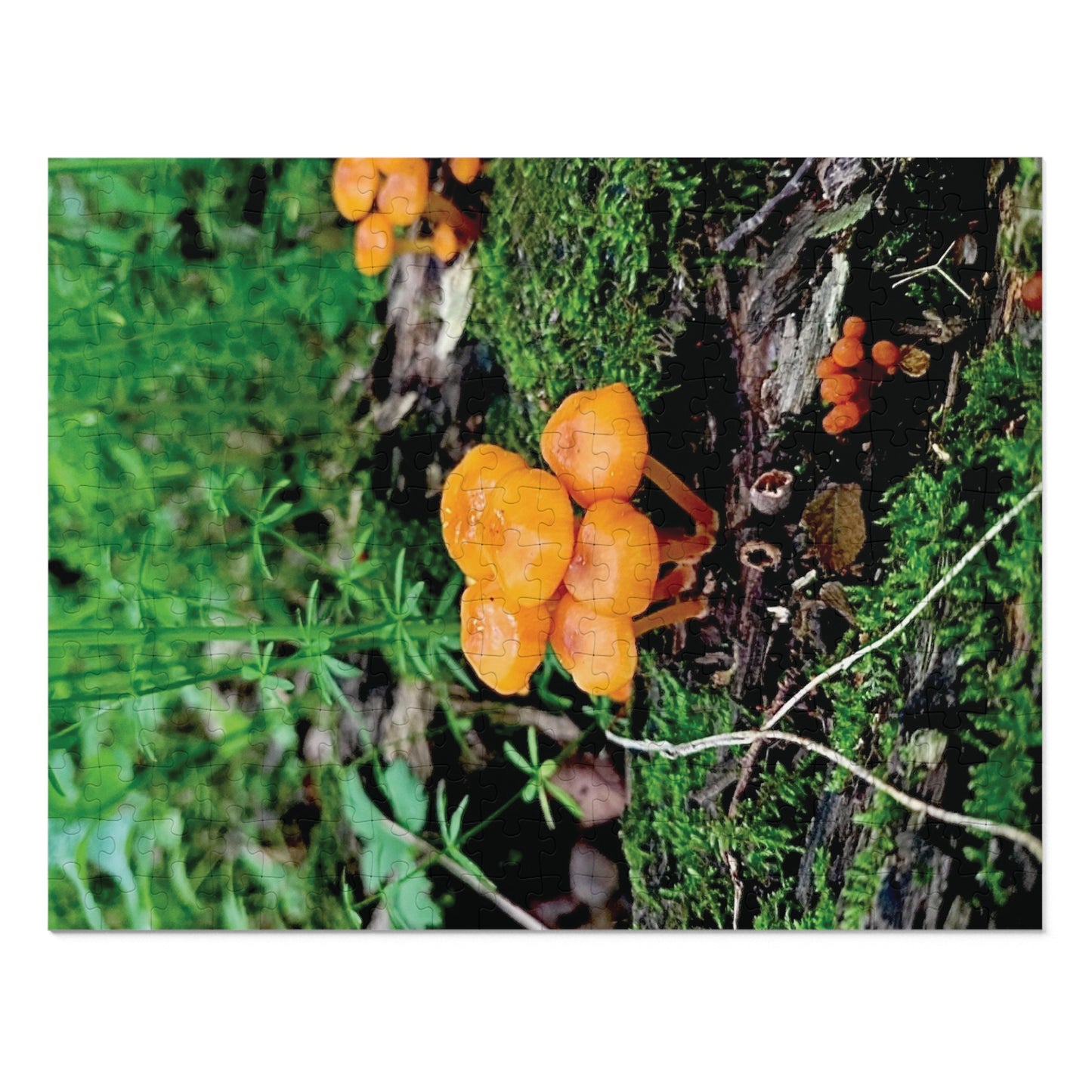Vibrant Treasure Forest Mushrooms Jigsaw Puzzle (110 and 252-Piece)