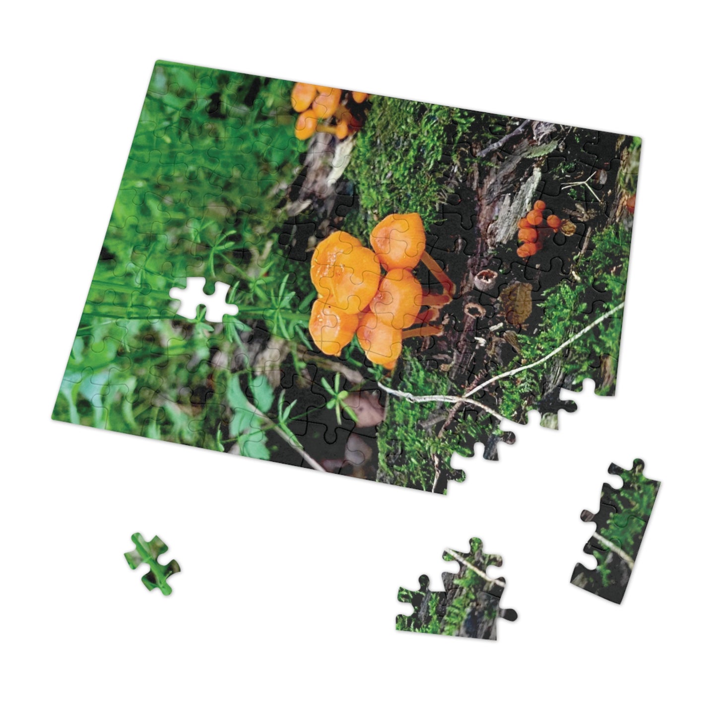 Vibrant Treasure Forest Mushrooms Jigsaw Puzzle (110 and 252-Piece)