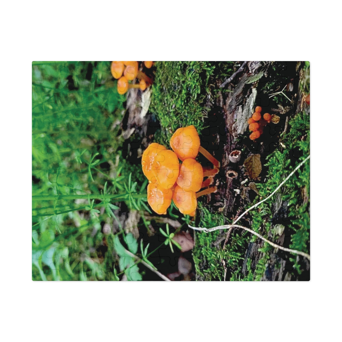 Vibrant Treasure Forest Mushrooms Jigsaw Puzzle (110 and 252-Piece)
