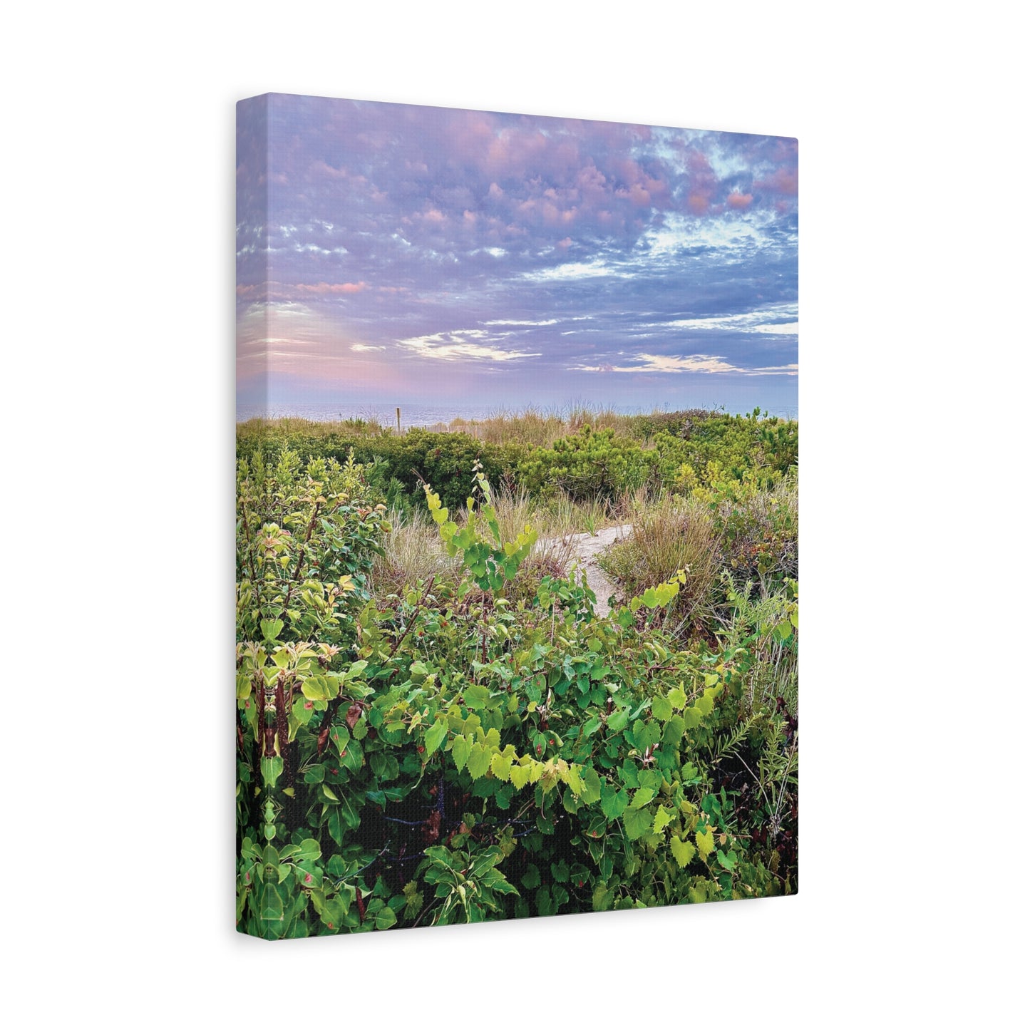Your Path Awaits Matte Canvas, Stretched, 1.25". Available in sizes from 8” x 10”-12” x 18”