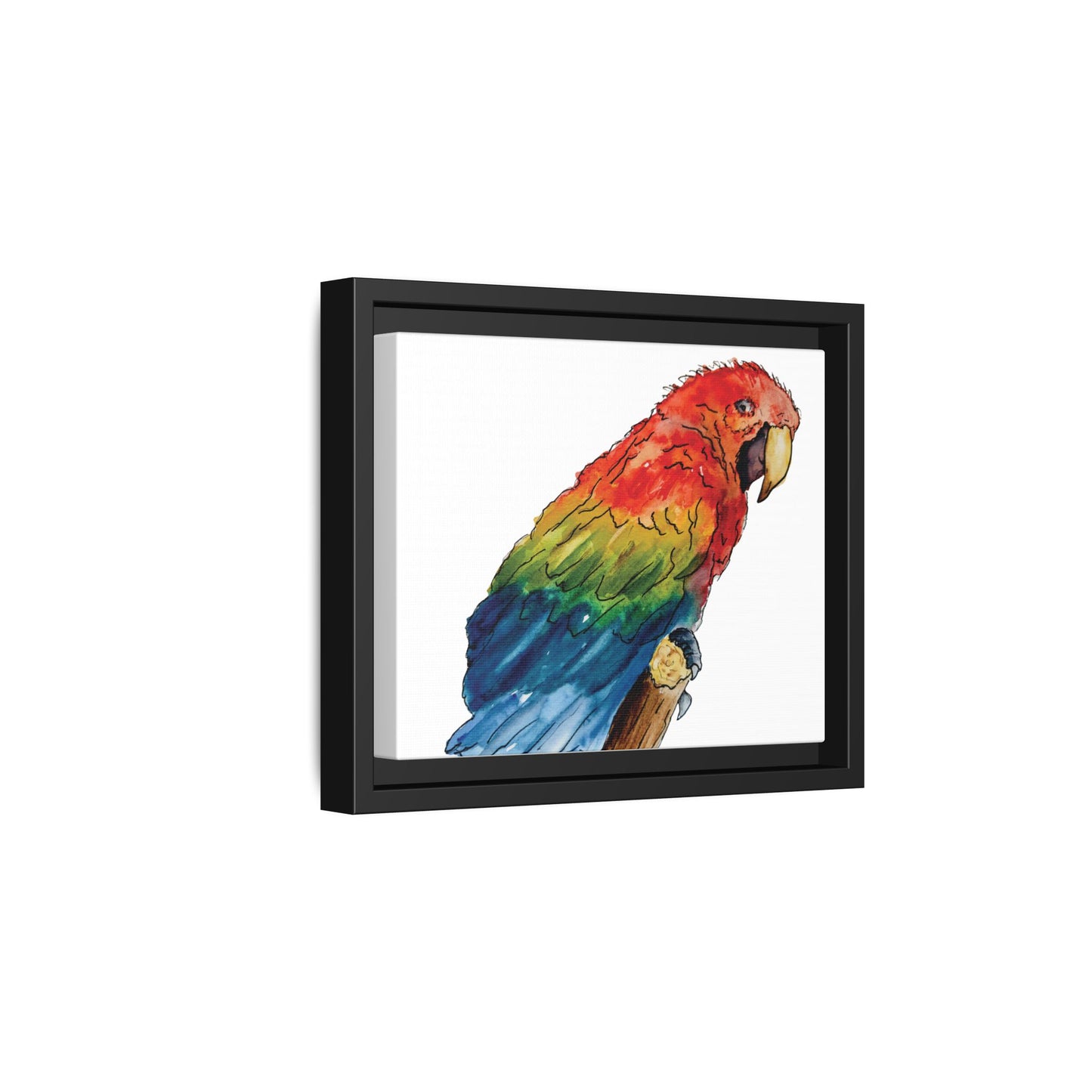 Scarlet Macaw Matte Canvas, Framed (Black or Espresso). Available in sizes from 10”x8”-16”x12”