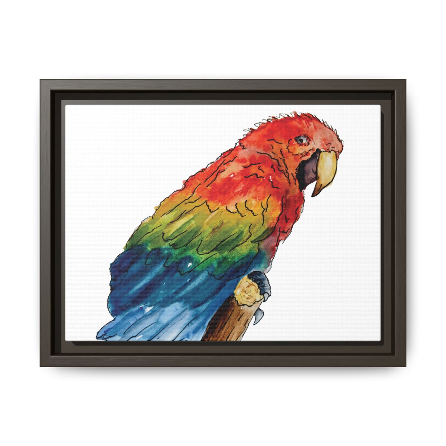 Scarlet Macaw Matte Canvas, Framed (Black or Espresso). Available in sizes from 10”x8”-16”x12”