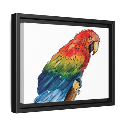 Scarlet Macaw Matte Canvas, Framed (Black or Espresso). Available in sizes from 10”x8”-16”x12”