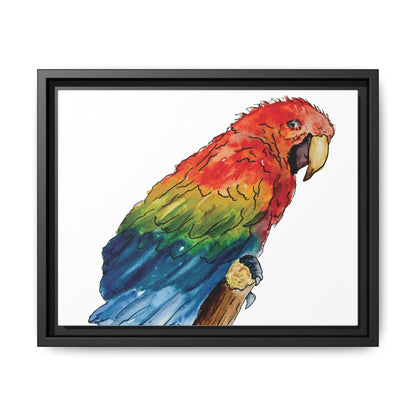 Scarlet Macaw Matte Canvas, Framed (Black or Espresso). Available in sizes from 10”x8”-16”x12”