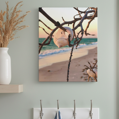 North Captiva Island, Shell’s Embrace Matte Canvas, Stretched, 1.25". Available in sizes from 8” x 10”-12” x 18”