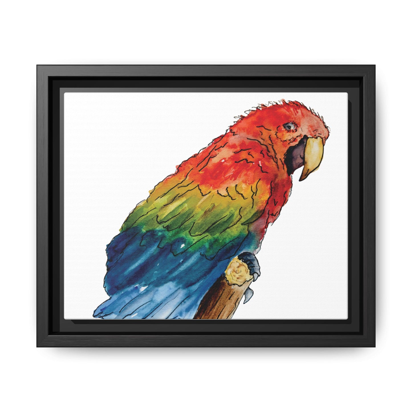 Scarlet Macaw Matte Canvas, Framed (Black or Espresso). Available in sizes from 10”x8”-16”x12”
