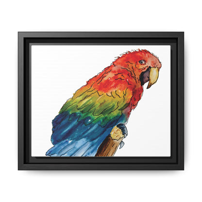 Scarlet Macaw Matte Canvas, Framed (Black or Espresso). Available in sizes from 10”x8”-16”x12”