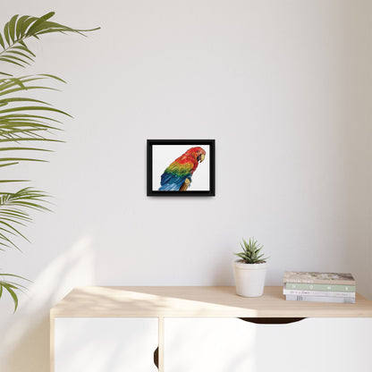 Scarlet Macaw Matte Canvas, Framed (Black or Espresso). Available in sizes from 10”x8”-16”x12”