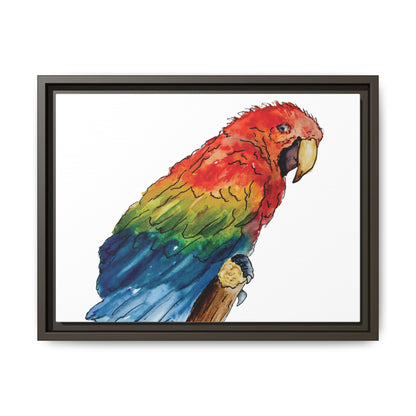 Scarlet Macaw Matte Canvas, Framed (Black or Espresso). Available in sizes from 10”x8”-16”x12”