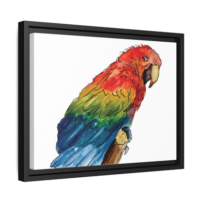 Scarlet Macaw Matte Canvas, Framed (Black or Espresso). Available in sizes from 10”x8”-16”x12”