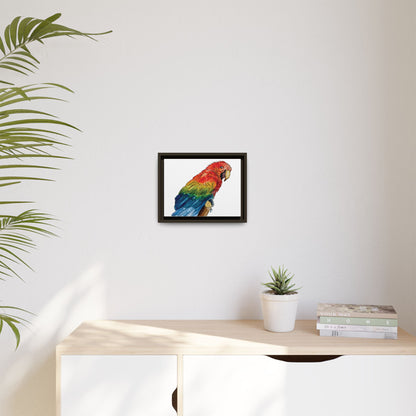 Scarlet Macaw Matte Canvas, Framed (Black or Espresso). Available in sizes from 10”x8”-16”x12”