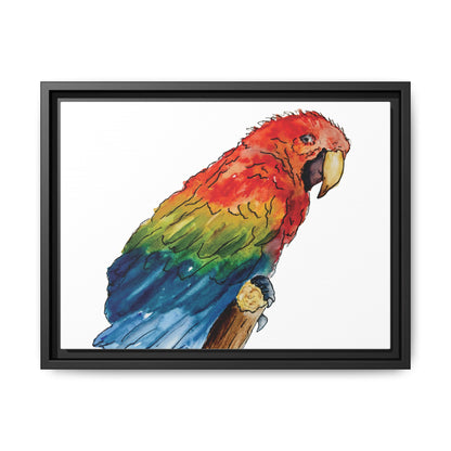 Scarlet Macaw Matte Canvas, Framed (Black or Espresso). Available in sizes from 10”x8”-16”x12”