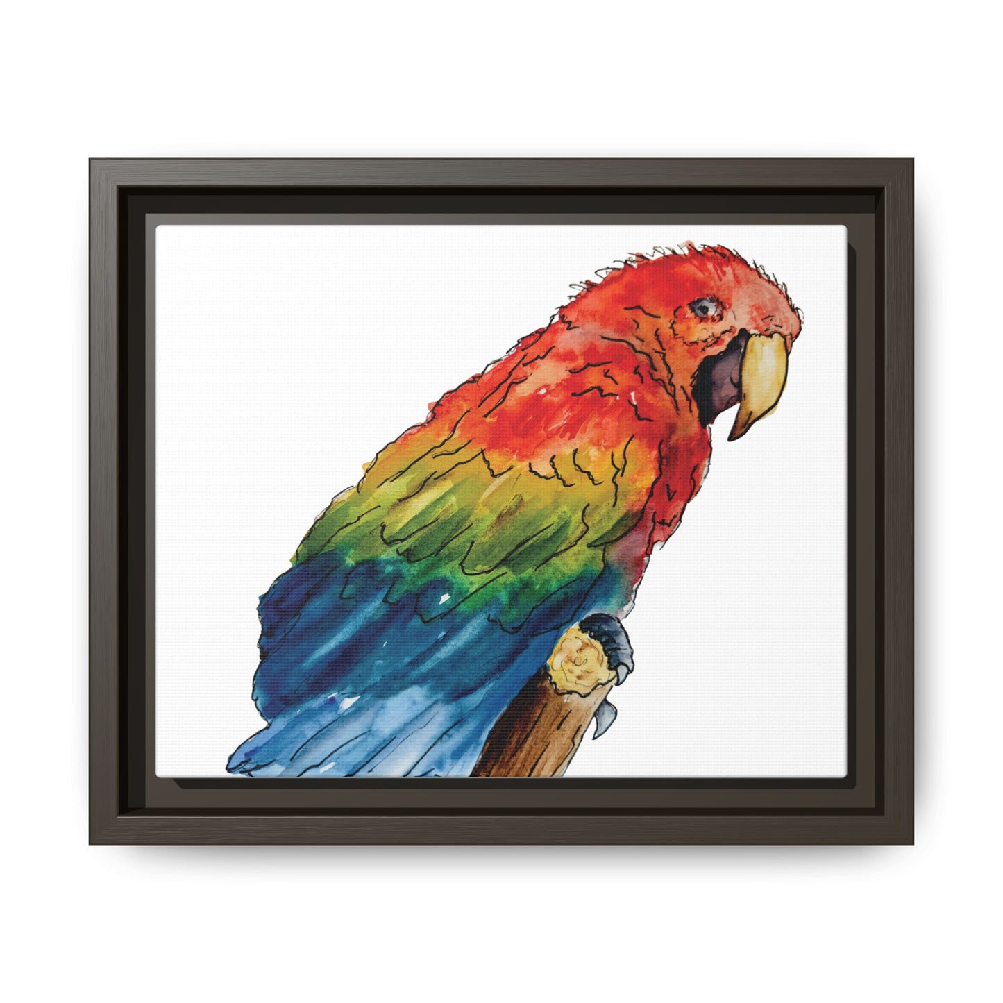Scarlet Macaw Matte Canvas, Framed (Black or Espresso). Available in sizes from 10”x8”-16”x12”