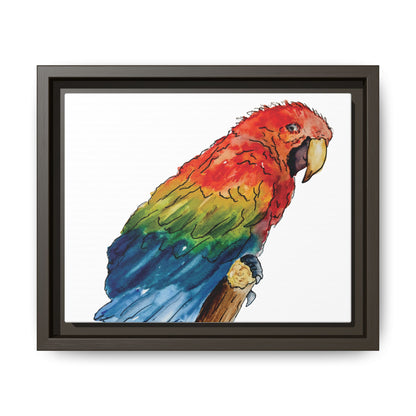 Scarlet Macaw Matte Canvas, Framed (Black or Espresso). Available in sizes from 10”x8”-16”x12”