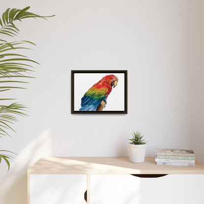 Scarlet Macaw Matte Canvas, Framed (Black or Espresso). Available in sizes from 10”x8”-16”x12”