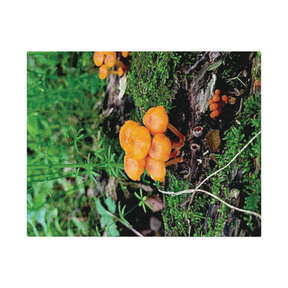 Vibrant Treasure Forest Mushrooms Jigsaw Puzzle (110 and 252-Piece)