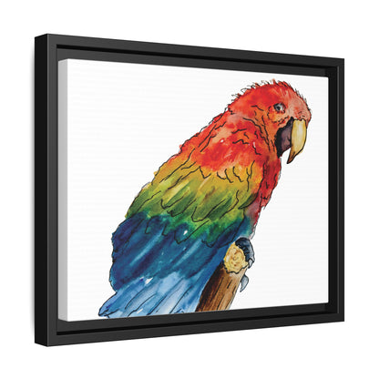Scarlet Macaw Matte Canvas, Framed (Black or Espresso). Available in sizes from 10”x8”-16”x12”