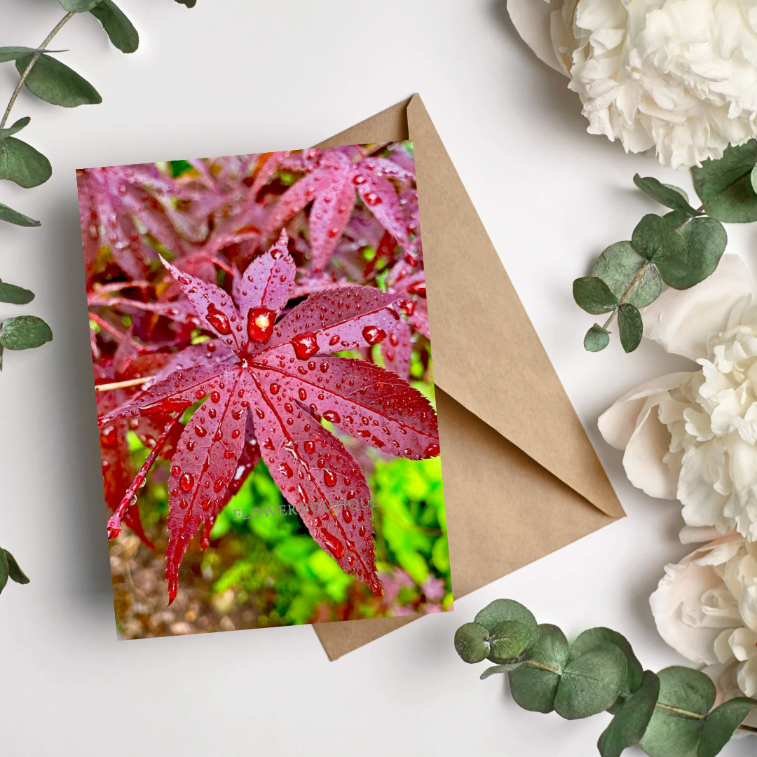 Koyo Rain Greeting Cards (5 Pack)