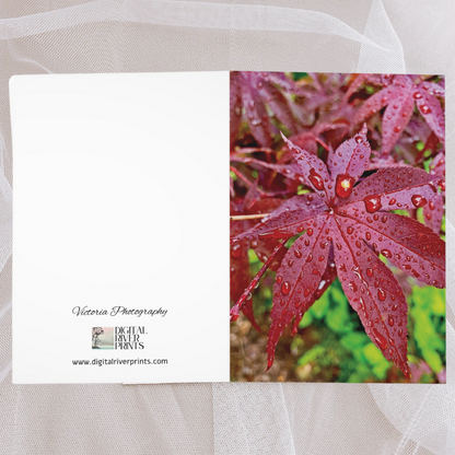 Koyo Rain Greeting Cards (5 Pack)