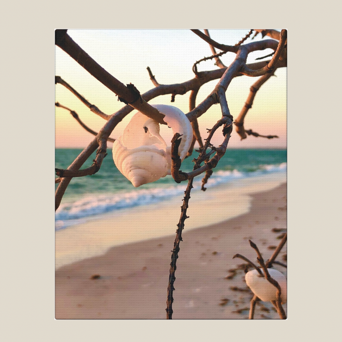 North Captiva Island, Shell’s Embrace Matte Canvas, Stretched, 1.25". Available in sizes from 8” x 10”-12” x 18”
