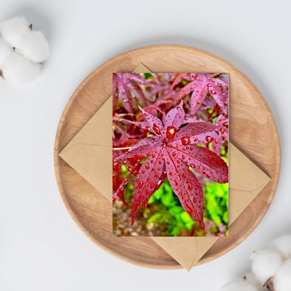 Koyo Rain Greeting Cards (5 Pack)